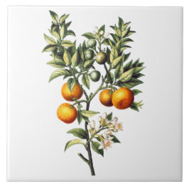 Azulejo Naranjas de época