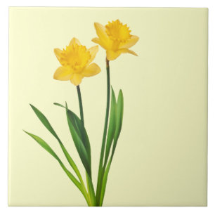Azulejo Narcisos amarillos de la primavera - plantilla del