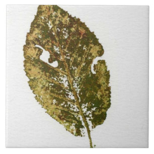 Azulejo Naturaleza de hoja de verano impresa con tinta ver