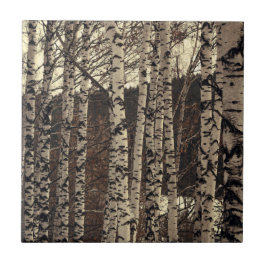 Azulejo Naturaleza de los bosques de Birch Trees