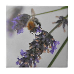 Azulejo Naturas trabajadores maravillosos