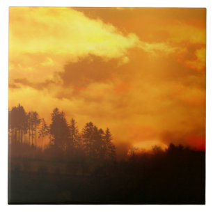 AZULEJO NATURE MORNING SUNRISE