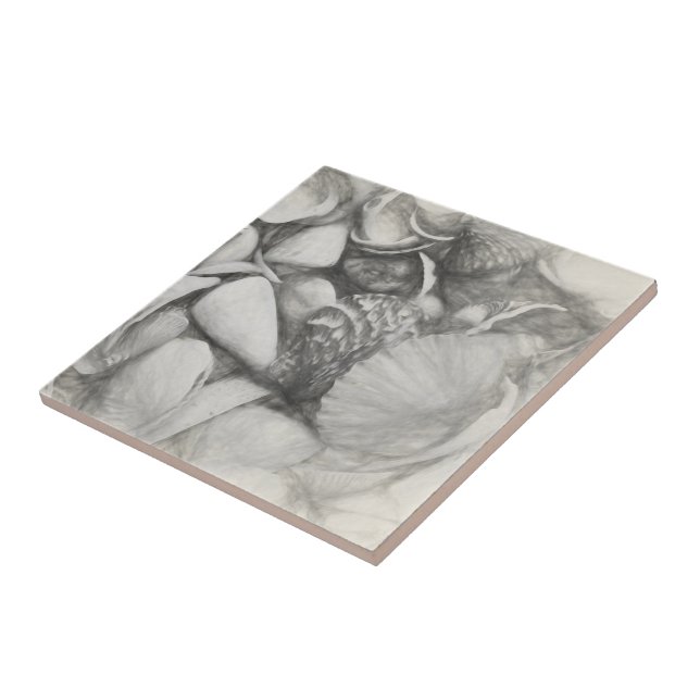 Azulejo Nautical Sea Shells Ocean Beach Vintage Antique (Lado)