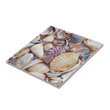 Nautical Sea Shells Ocean Beach Watercolor