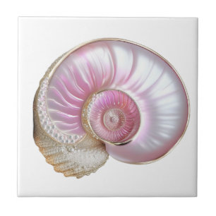 Azulejo Nautilus marea perla rosa playa 3D mar