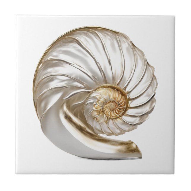 Azulejo Nautilus margarrita perla 3D playa mar náutico (Frente)