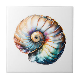 Azulejo Nautilus marshell irridescente playa 3D mar náutic