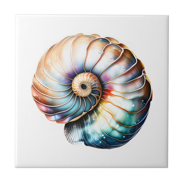 Azulejo Nautilus marshell irridescente playa 3D mar náutic (Frente)