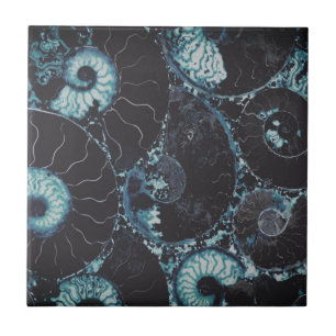 Azulejo Nautilus midnite blue shell design