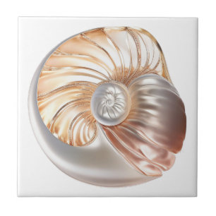 Azulejo Nautilus naranja perla playa 3D mar