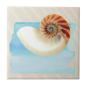 Azulejo Nautilus Seashell and Sand