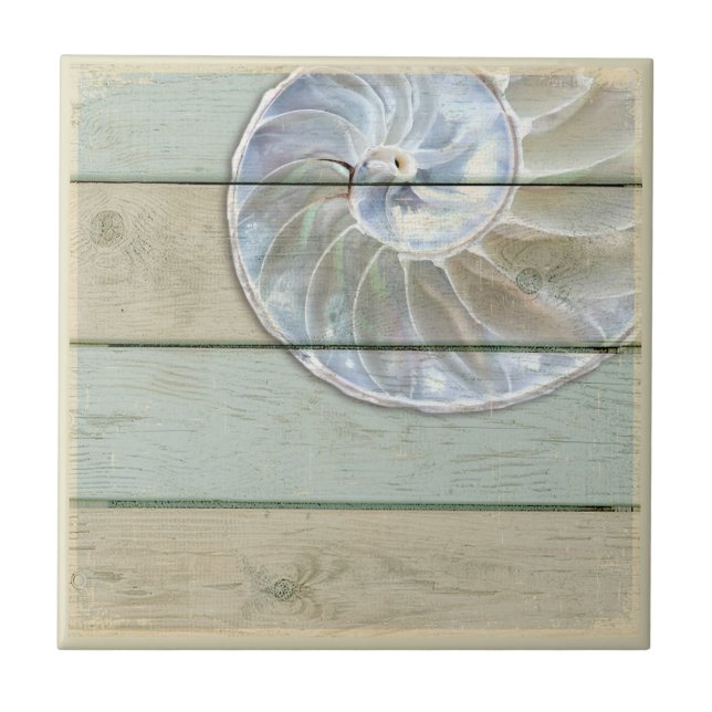 Azulejo Nautilus Shell (Frente)