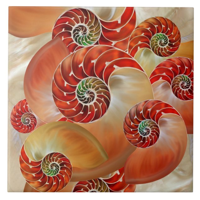Azulejo Nautilus Shells (Frente)
