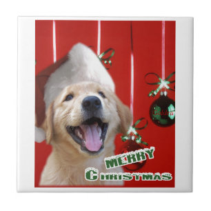 Azulejo Navidades de Golden Retriever