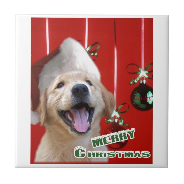 Azulejo Navidades de Golden Retriever (Frente)