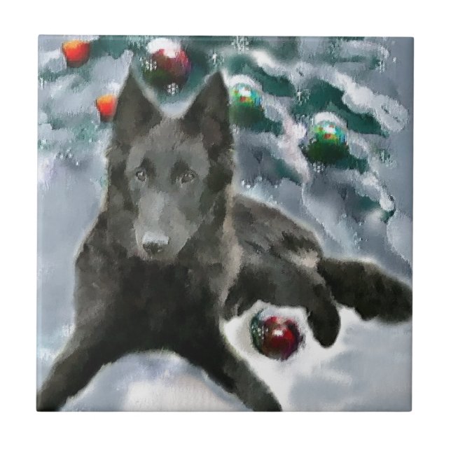 Azulejo Navidades de Sheepdog de Bélgica (Frente)