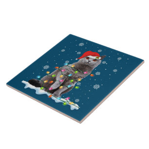 Azulejo Navidades Santa Cat British Shorthair Cat Lover