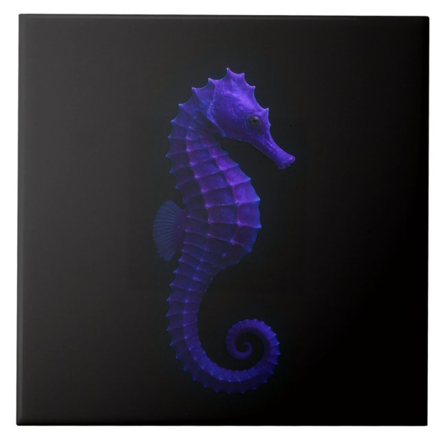 Azulejo Negro 4 Luxe con Caballito de Mar Violeta  (Frente)