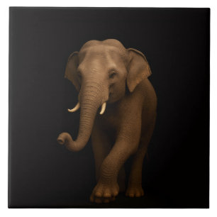 Azulejo Negro 4 Luxe con Elefante Indio Suave