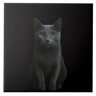 Azulejo Negro 4 Luxe con Gato Azul Ruso