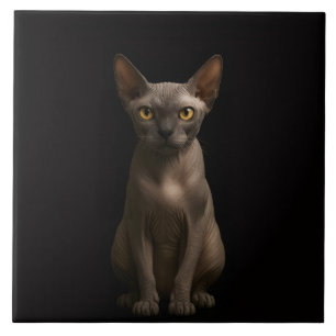 Azulejo Negro 4 Luxe con Gato Sphynx