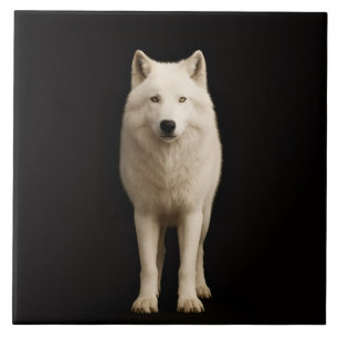Azulejo Negro 4 Luxe con Lobo Ártico Marfil