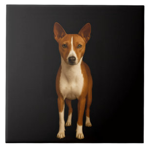 Azulejo Negro 4 Luxe con Perro Basenji Elegante
