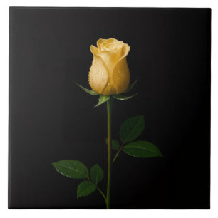 Azulejo Negro 4 Luxe con Rosa Amarilla Iluminada p