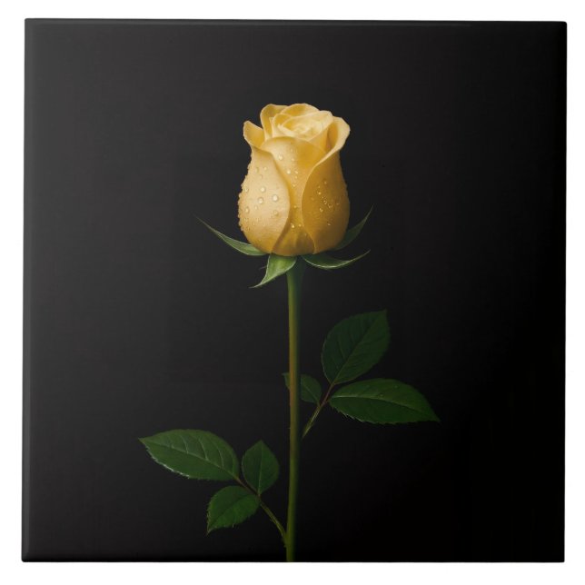 Azulejo Negro 4 Luxe con Rosa Amarilla Iluminada p (Frente)