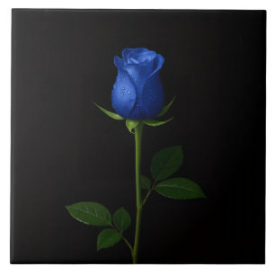 Azulejo Negro 4 Luxe con Rosa Azul Medianoche
