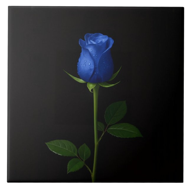 Azulejo Negro 4 Luxe con Rosa Azul Medianoche (Frente)