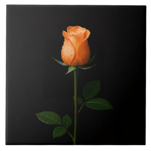 Azulejo Negro 4 Luxe con Rosa Naranja Atardecer