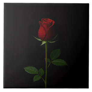 Azulejo Negro 4 Luxe con Rosa Roja Terciopelo
