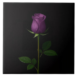 Azulejo Negro 4 Luxe con Rosa Violeta Real