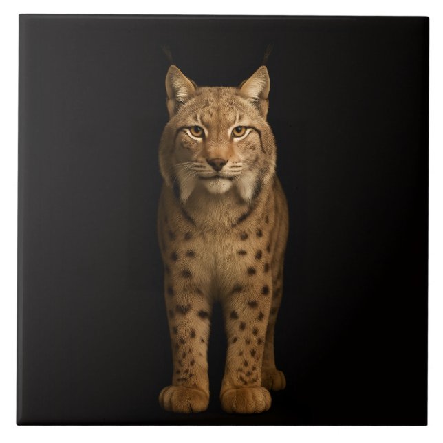 Azulejo Negro 4 Luxe con Silent Lynx (Frente)