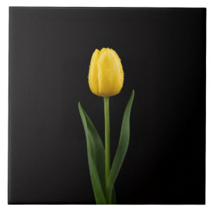 Azulejo Negro 4 Luxe con Tulipán Amarillo Dorado