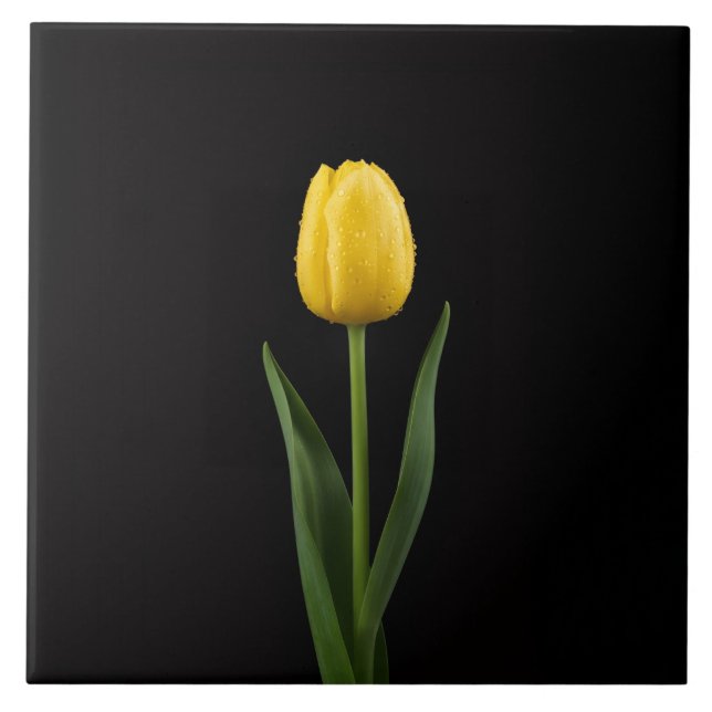 Azulejo Negro 4 Luxe con Tulipán Amarillo Dorado (Frente)