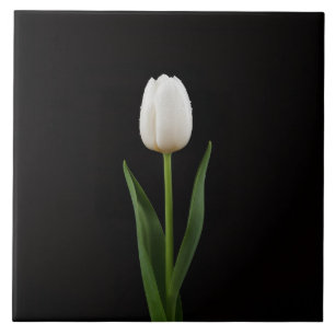 Azulejo Negro 4 Luxe con Tulipán Blanco Perla
