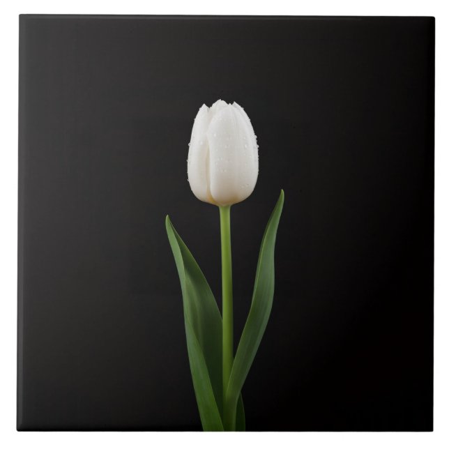 Azulejo Negro 4 Luxe con Tulipán Blanco Perla (Frente)