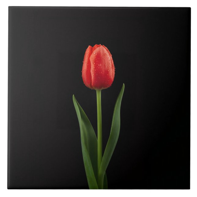Azulejo Negro 4 Luxe con Tulipán Rojo Rubí (Frente)