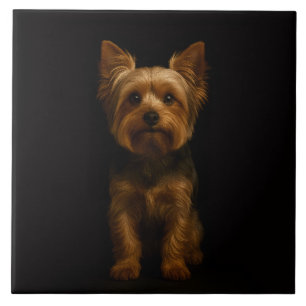Azulejo Negro 4 Luxe con Yorkshire Terrier