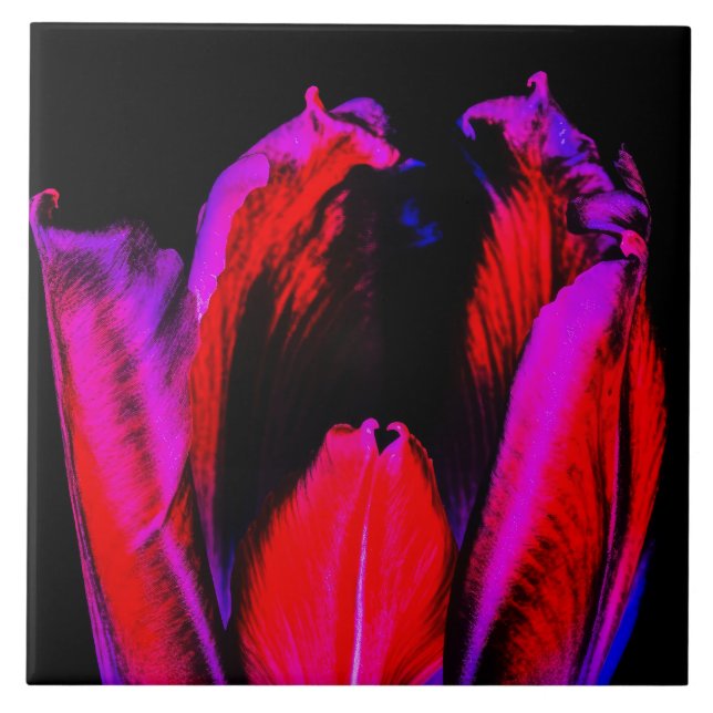 Azulejo Neon Glow Tulip (Frente)