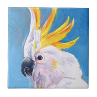 Neon Mohawk - Cockatoo