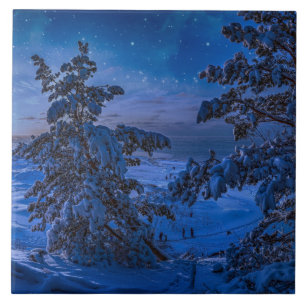 Azulejo Nevada costa del Mar Báltico con abeto en la noche
