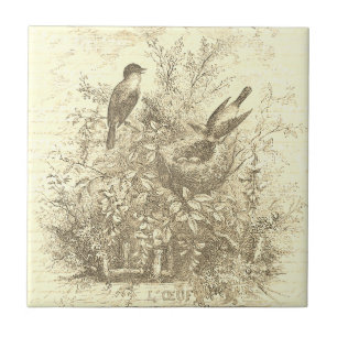 Azulejo Nido de aves antiguas de color beige vintage
