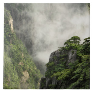 Azulejo Niebla entre los picos y valles del Gran Cañón