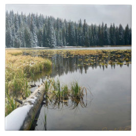 Azulejo Nieve dorada