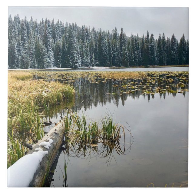 Azulejo Nieve dorada (Frente)