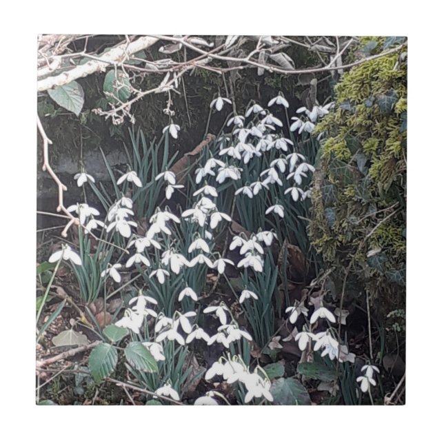 Azulejo Nieve primaveral mosaico cerámico (Frente)