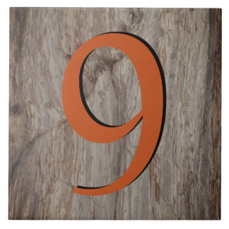 Azulejo Nilo 9 de la casa de resplandor de cobre en piedra